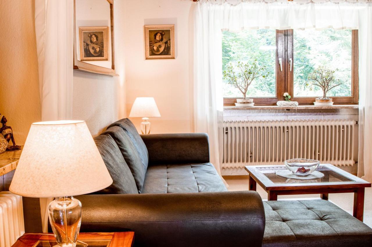 Apartments Haus Martin 바이에리슈아이젠슈타인 외부 사진