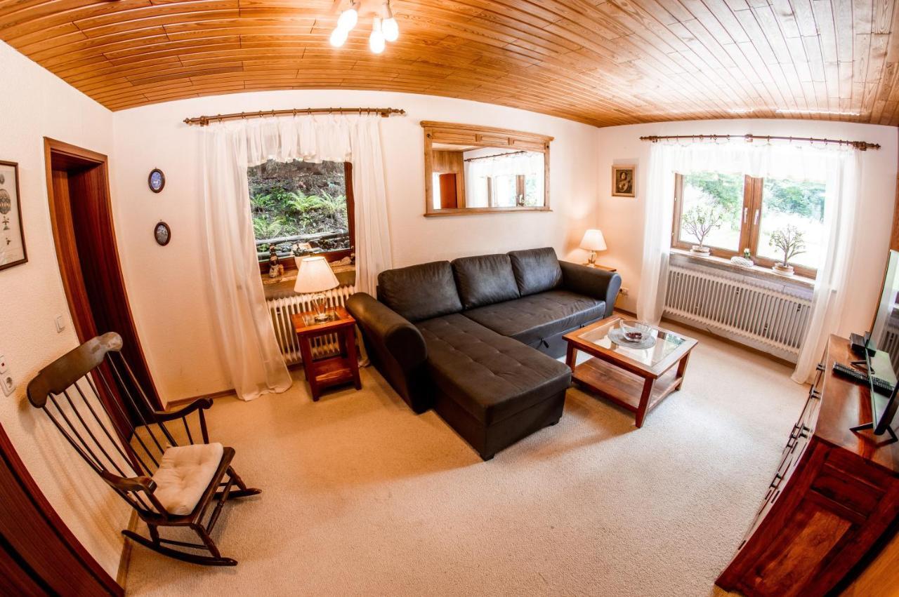 Apartments Haus Martin 바이에리슈아이젠슈타인 외부 사진
